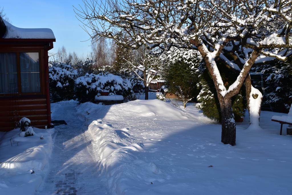 Domek Jaskolka Białowieża Buitenkant foto